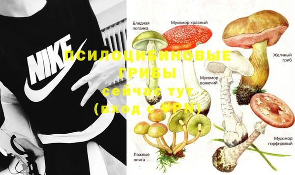 каннабис Вяземский