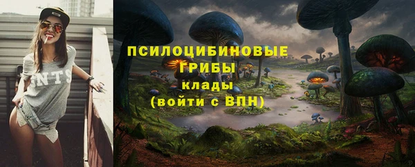 ALPHA-PVP Горняк